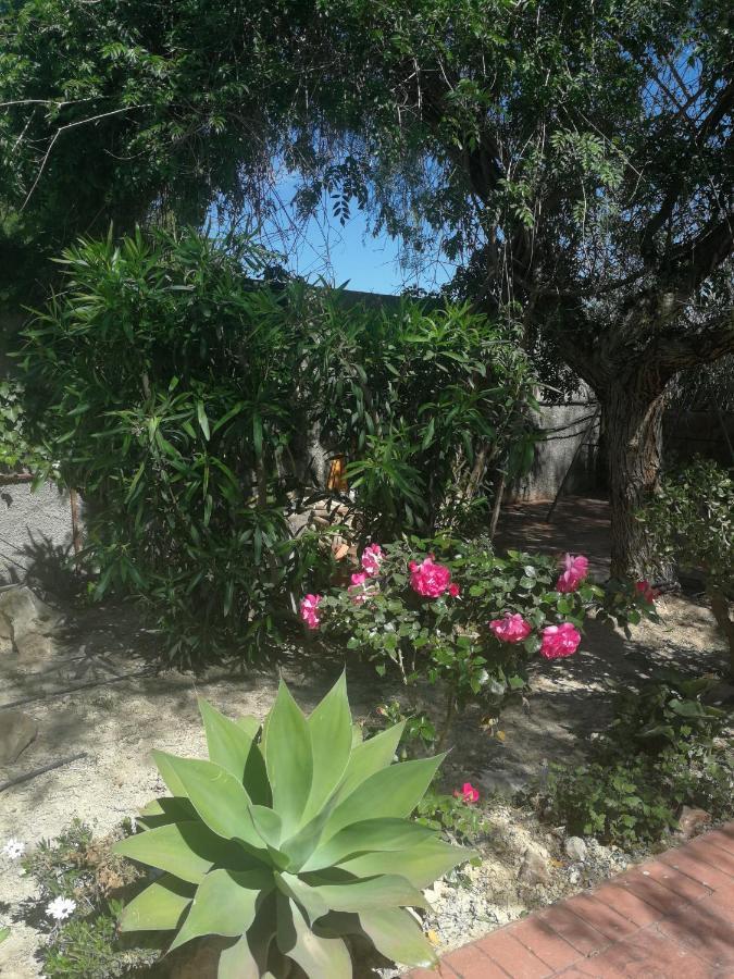 Finca San Diego, Villa Entera Para Ti Vallonga Eksteriør bilde